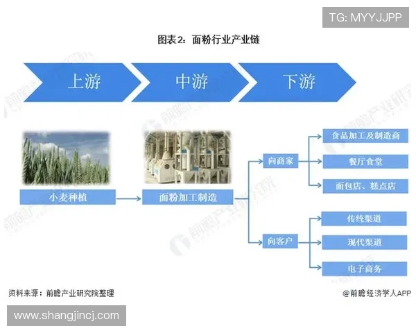 PG猿宇宙电子客户端评级对行业标准制定的影响及其未来发展趋势分析