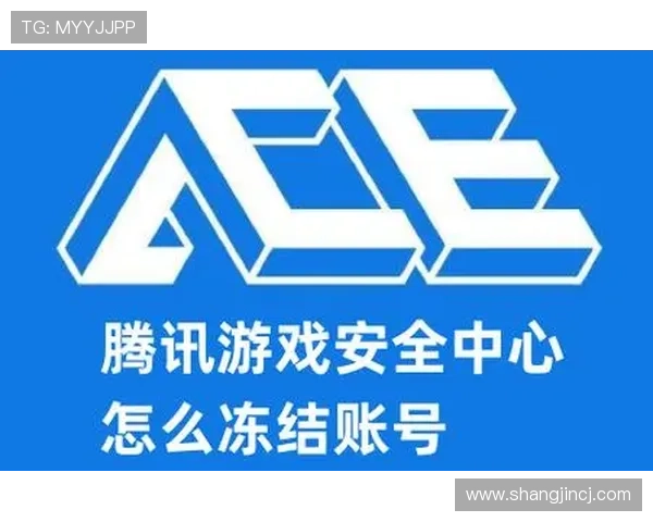 pupg官方验证的重要性及其对账号安全的保护作用,提升玩家对账号安全的重视程度 pupg官方验证的重要性及其对账号安全的保护作用,提升玩家对账号安全的重视程度